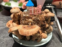 -捞王猪肚鸡火锅(金华义乌之心店)