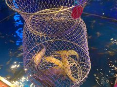 -钳真多钓虾馆·小龙虾海鲜烧烤(九六广场店)