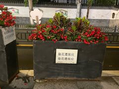 -西塔老太太泥炉烤肉(沈阳店)