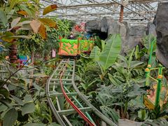 -南宫五洲植物乐园