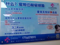 -全心全意连锁动物医院·微创中心·内科急重症·心脏专科(丰管路店)