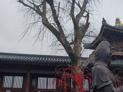 -昭山风景名胜区