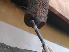 -海南热带野生动植物园
