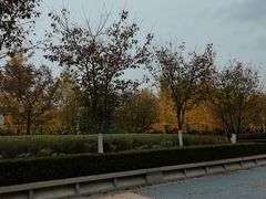 -金陵图书馆
