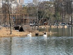 -武汉动物园