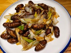 茧蛹-桃源新村双台子店