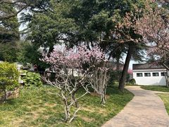 -无锡梅园公园