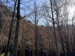 -秦岭终南山世界地质公园翠华山景区
