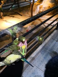 -酷嗒动物文化乐园(cutezoo西溪乐天城店)