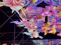 -淄博花灯齐彩城