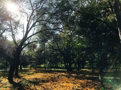 -长春市南湖公园