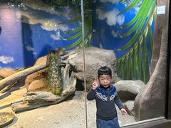 -苏州海洋馆