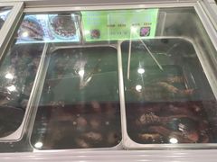 -鸿运兔·手撕烤兔(天府广场店)
