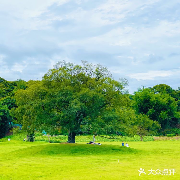 这里不是国外，这里不是省外，这里是深圳盐田！