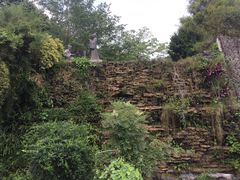 -广州神农草堂中医药博物馆
