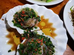 清蒸扇贝-温州一家人美食(西木头市店)