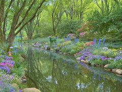 -上海共青森林公园