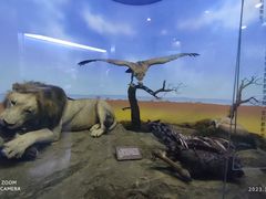 -国家自然博物馆