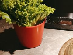 -谷牛日式烤肉(宝山U天地店)