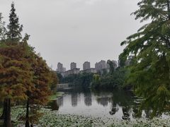 -东岳体育公园