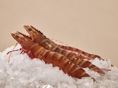 -揽季锅物会·海鲜姿造(五四路店)