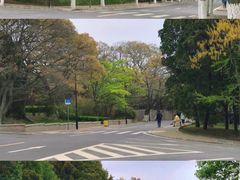 -八大关景区