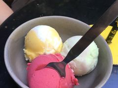 -莓园冰淇淋店