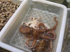 -盒马鲜生(馥邦国际店)