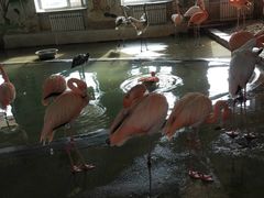 -哈尔滨北方森林动物园