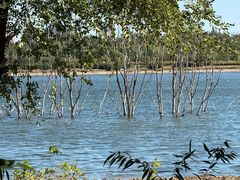 -北京园博大酒店