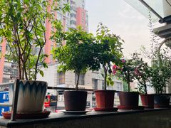 -三兴涮羊肉(荣安大街店)
