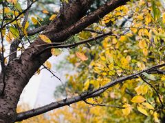 -长沙市青少年宫