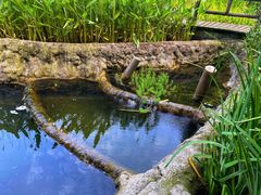 -成都市活水公园
