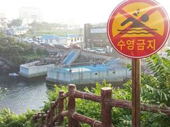-龙头岩(Dragon Head Rock)