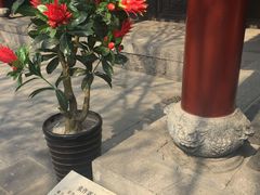 -张学良旧居陈列馆