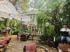 -Fern Forest Cafe