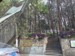 -铁山坪森林公园