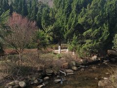 -白马涧龙池景区