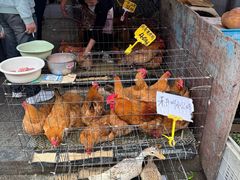 -上碧湘街菜市场
