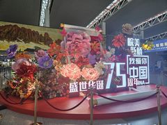 -合肥新桥国际机场-航站楼