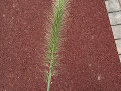 -海乐迪量贩KTV(五星店)