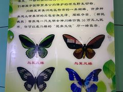 -上海昆虫博物馆