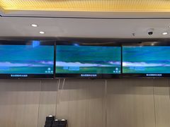 -蝎王府羊蝎子(天通苑店)