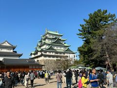 -名古屋城