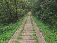 -青龙山国家森林公园