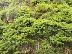-天河潭旅游度假区