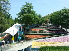 android_upload_pic-东部华侨城