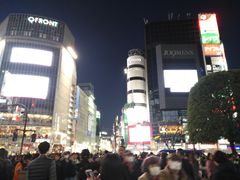 -涩谷区