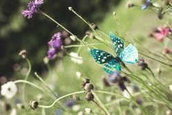 点击看大图 -太古映画婚纱摄影(天河店)