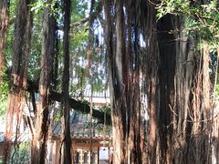 122-聚春园驿馆(福州三坊七巷店)